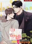 thumb-183.webp